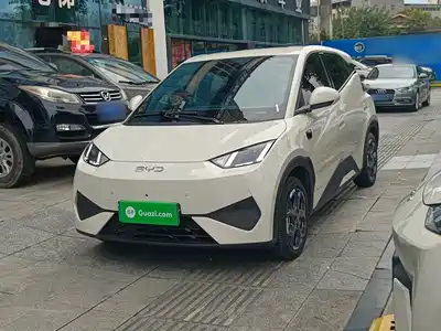 BYD Seagull