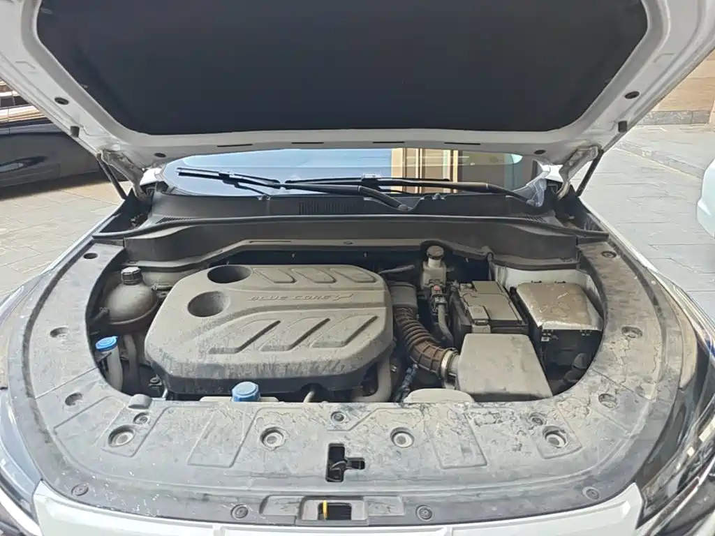 Changan Oshan Z6 2023 2023 Blue Whale 1.5T DCT Smart Premium