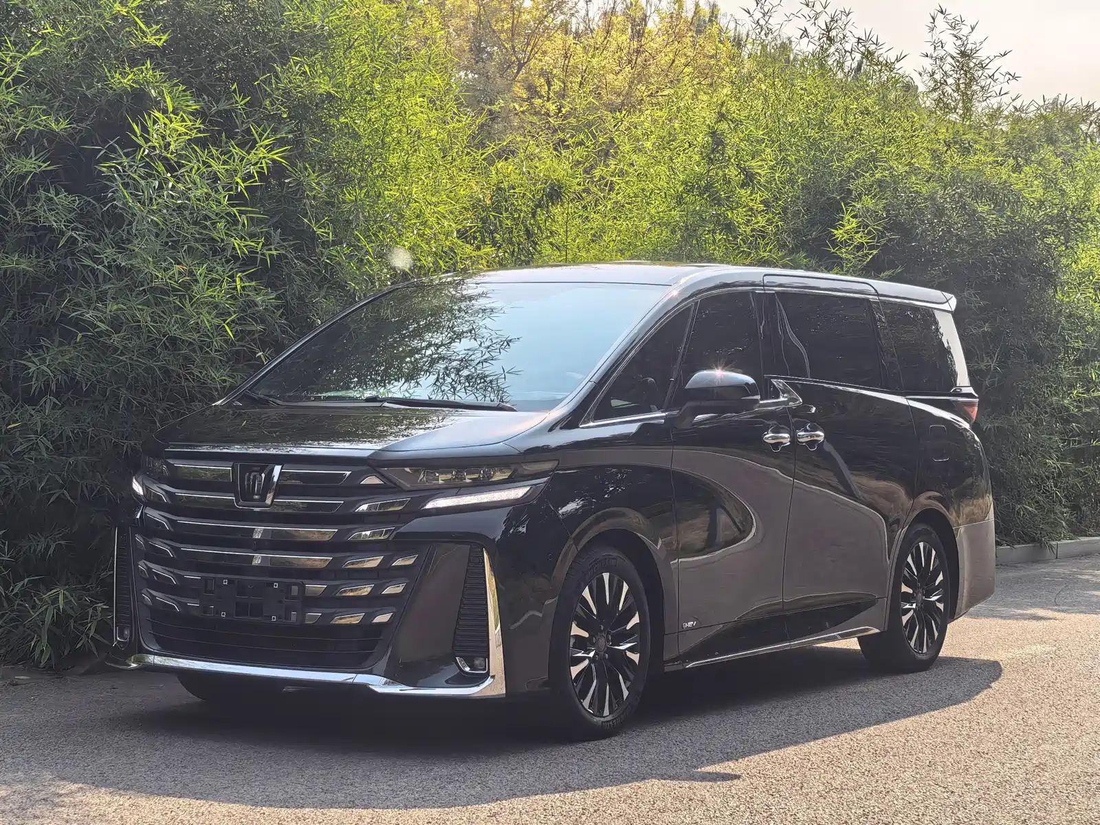 Фото 1 - Toyota Vellfire