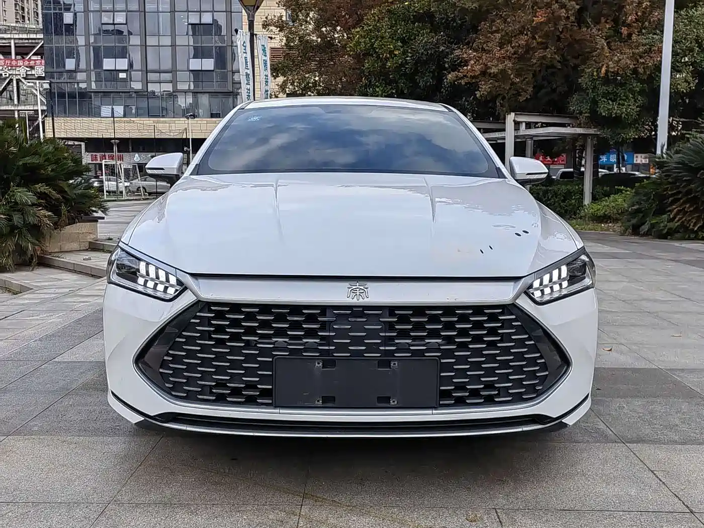 BYD Qin PLUS 2023 Champion Edition DM-i 55KM Leading фото 8