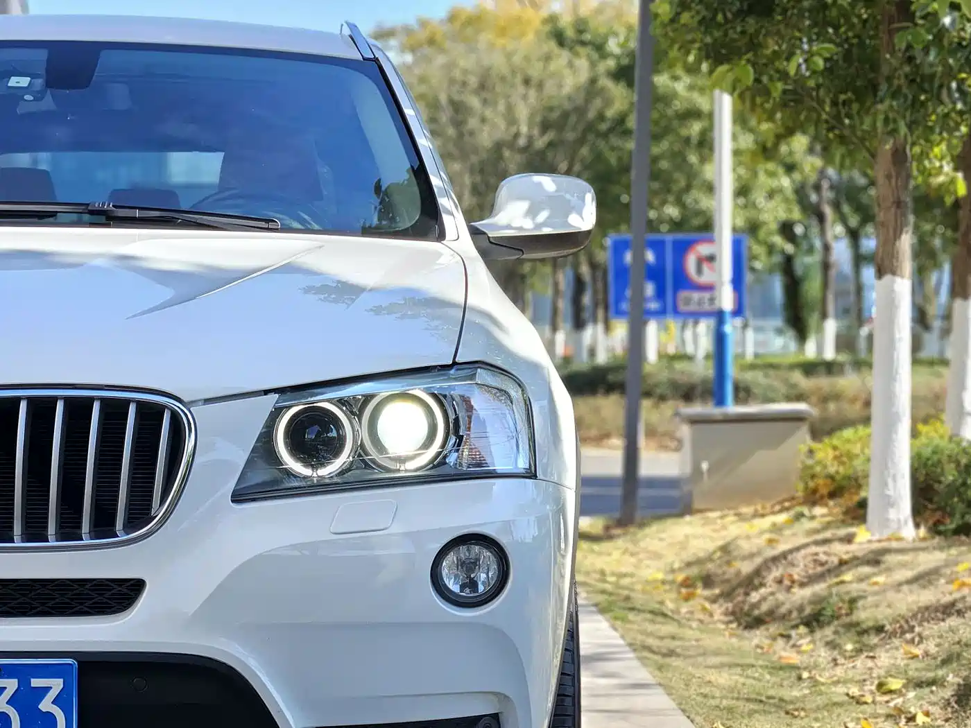 BMW X3 (Import) 2013 xDrive20i Luxury фото 22