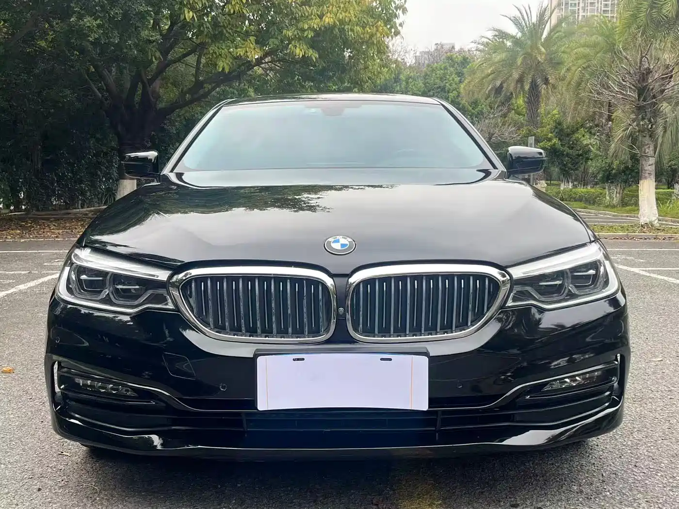 BMW 5 Series 2018 Facelift 530Li Exclusive Luxury Package фото 2