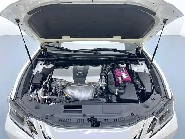 Lexus ES 2018 200 Excellence Edition China V фото 16