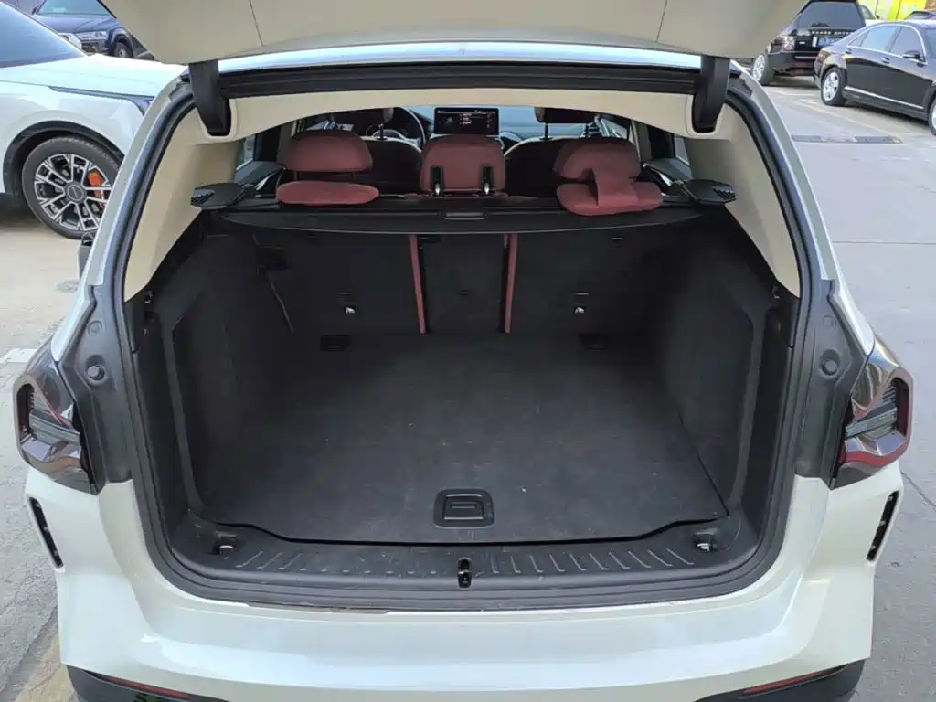 BMW iX3 2024 2023 Leading Type