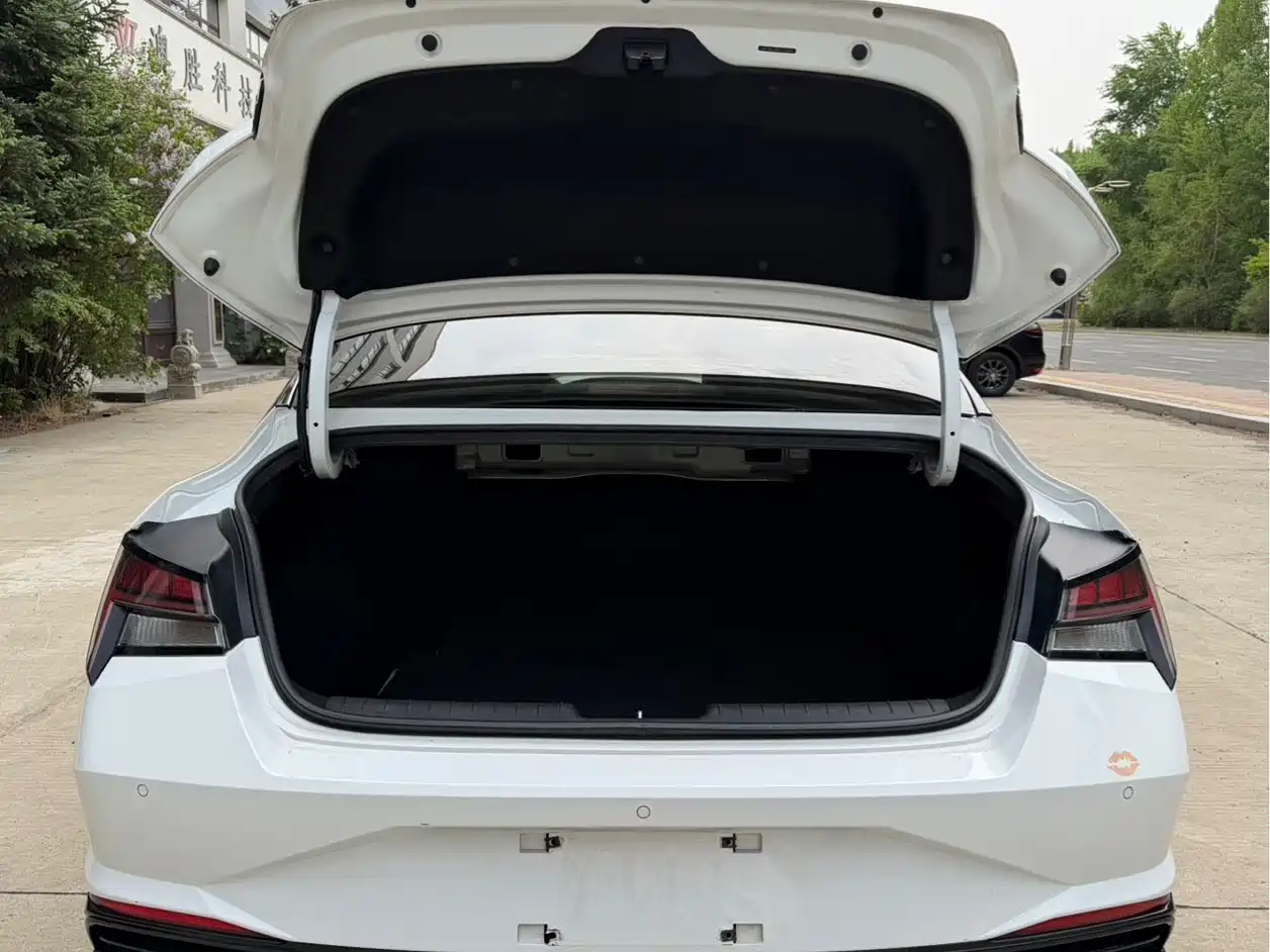 Hyundai Elantra 2022 1.5L CVT LUX Premium Edition фото 12