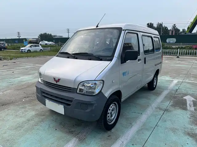 Wuling Motors Wuling Zhiguang 2020 1.2L Utility China VI LSI