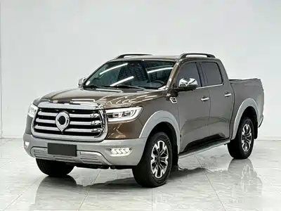 Great Wall Poer
