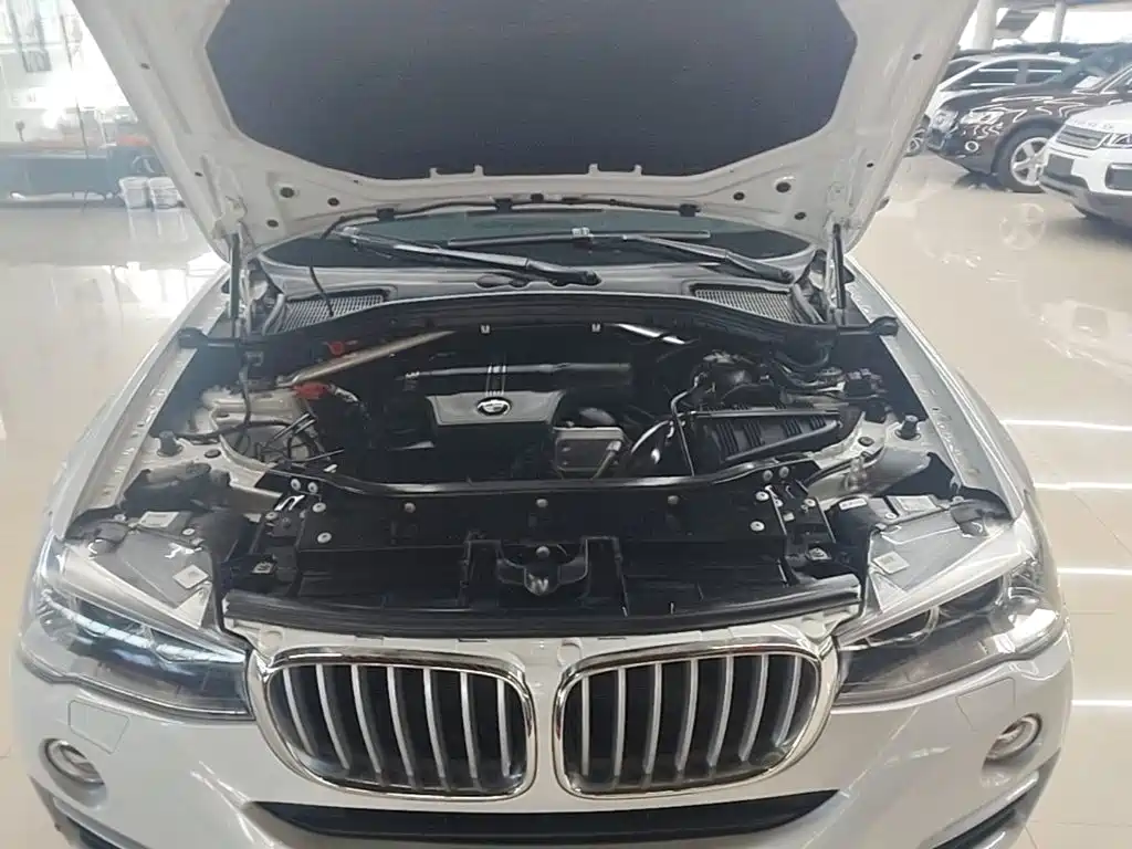 BMW X4 2015 2014 xDrive20i X Design Package