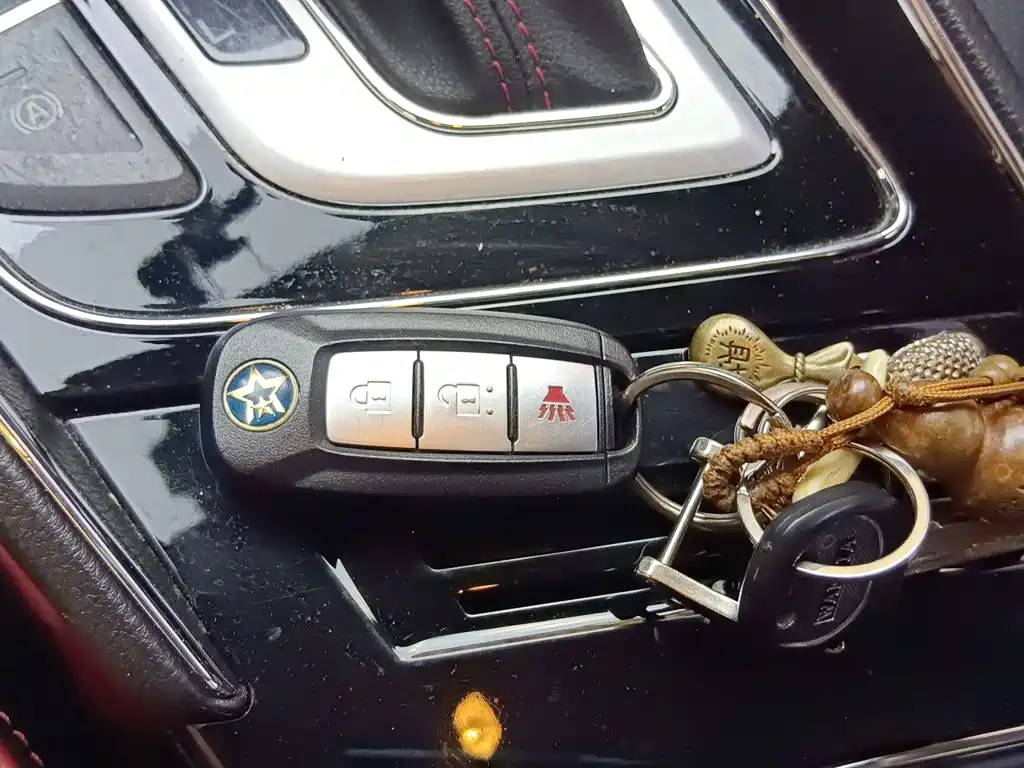 Venucia T60 2019 2020 Model 1.6L CVT Zhixing Edition China VI