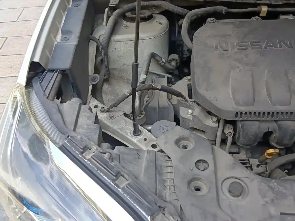 Venucia T60 2019 2020 Model 1.6L CVT Zhixing Edition China VI