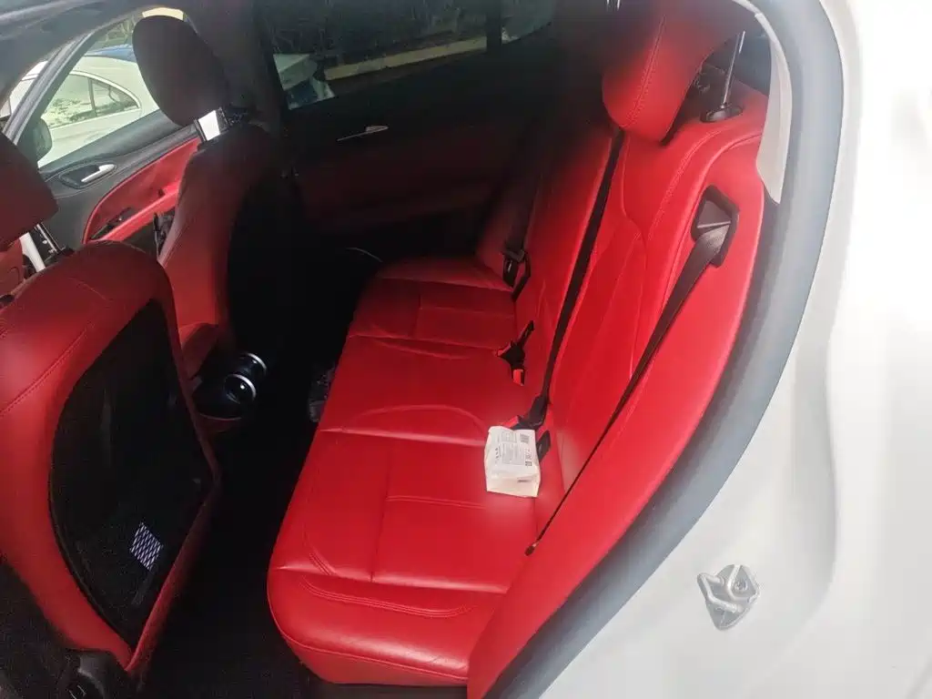 Alfa Romeo Stelvio 2019 2017 2.0T 200HP Elite