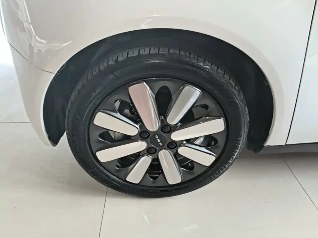 Ora Black Cat 2021 2021 351km Luxury Model
