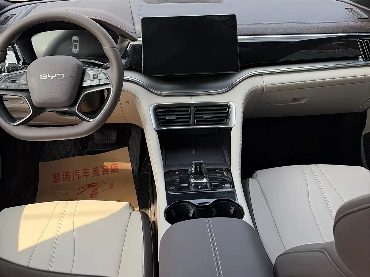 BYD SONGJIANG NEW ENERGY