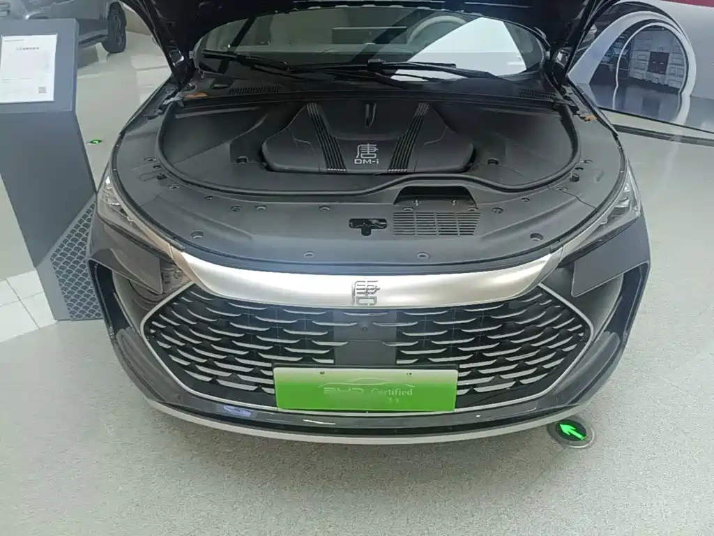 BYD Tang New Energy 2025 2025 Smart Driving Edition DM-i 115KM Flagship