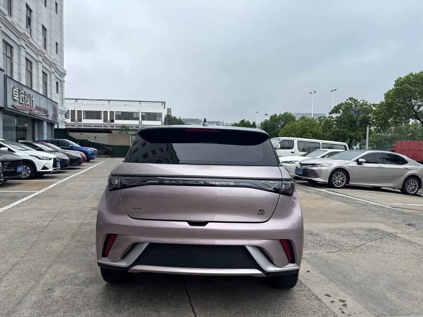 Фото 6 - BYD Dolphin