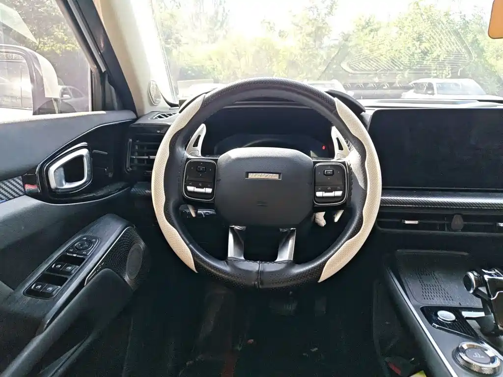 2023 Haval Cool Dog