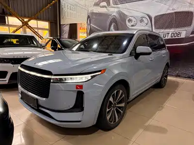 Li Auto ONE