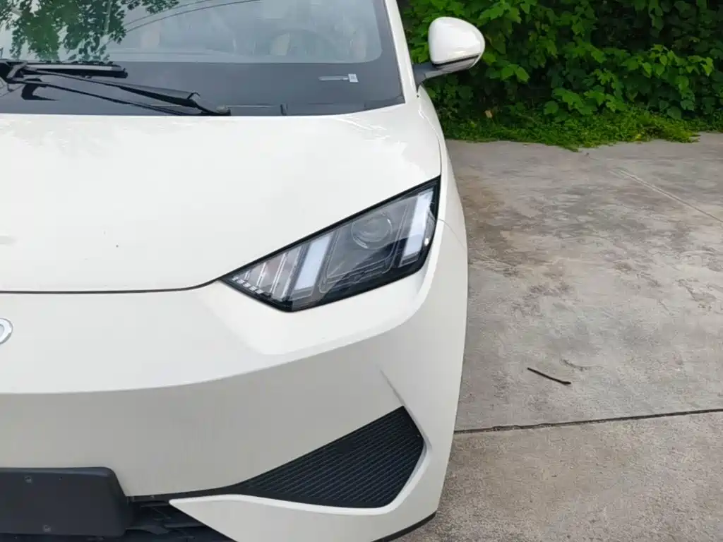 BYD Seagull 2026 2025 Smart Drive Edition 305km Vitality Version
