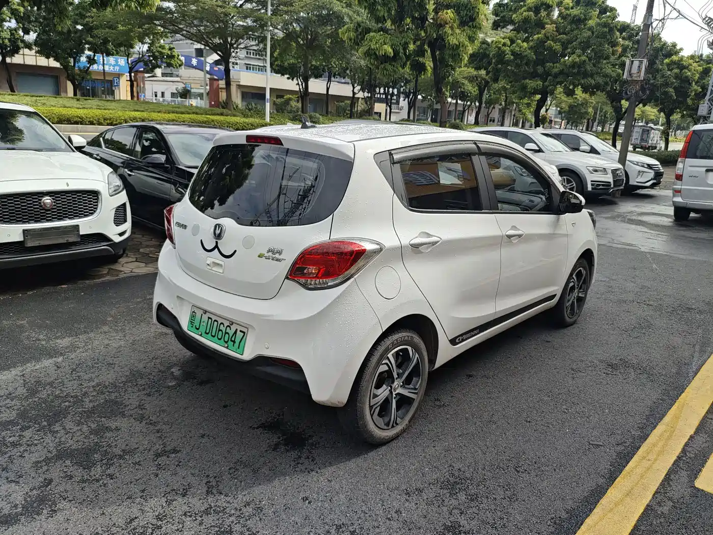 Changan Benben E-Star 2021 2020 Heartjoy Edition NCM