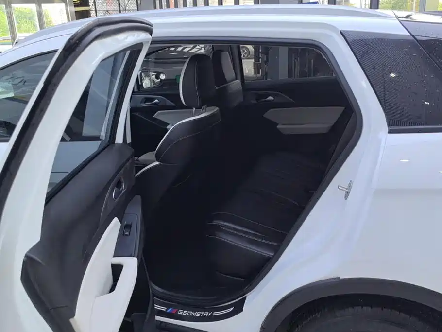 Geely Geometry E Firefly 2024 2024 Model 301km Starlight
