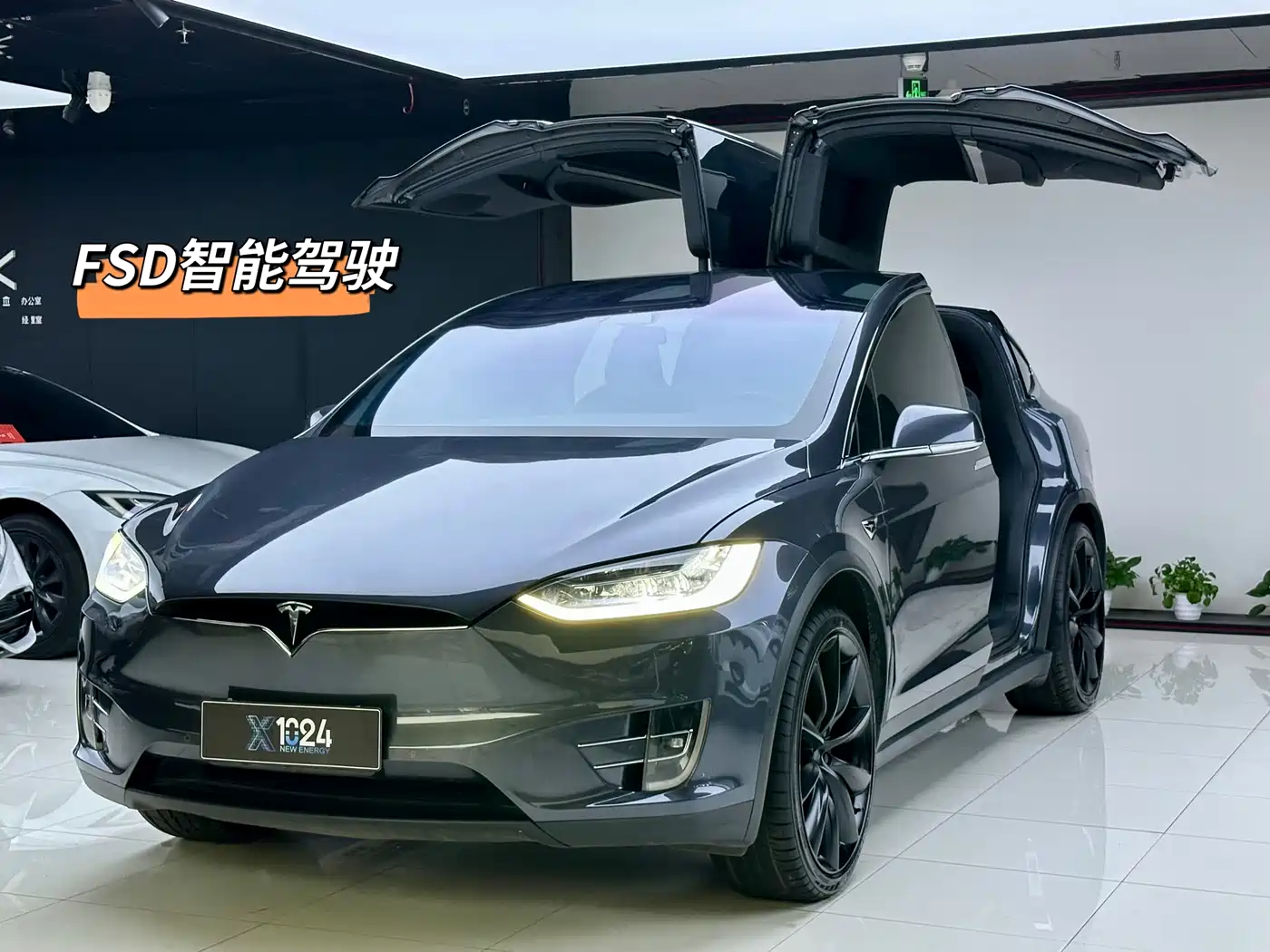 TESLA MODEL X