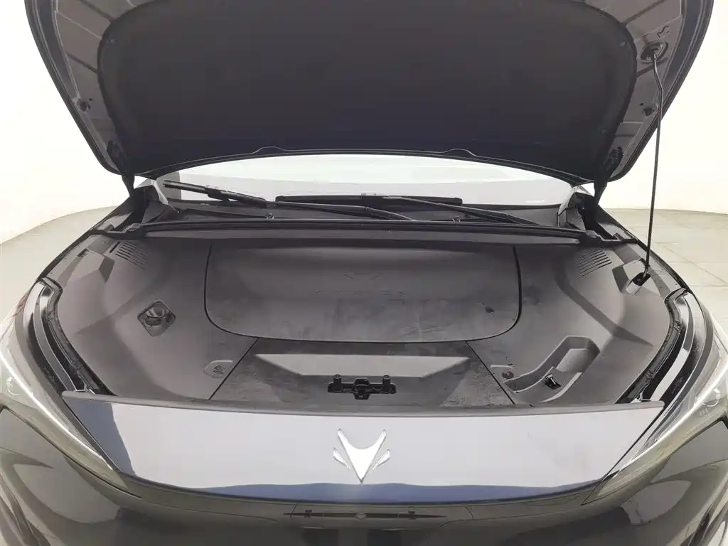 ARCFOX EXTREME FOX POLAR FOX ALPHA T5