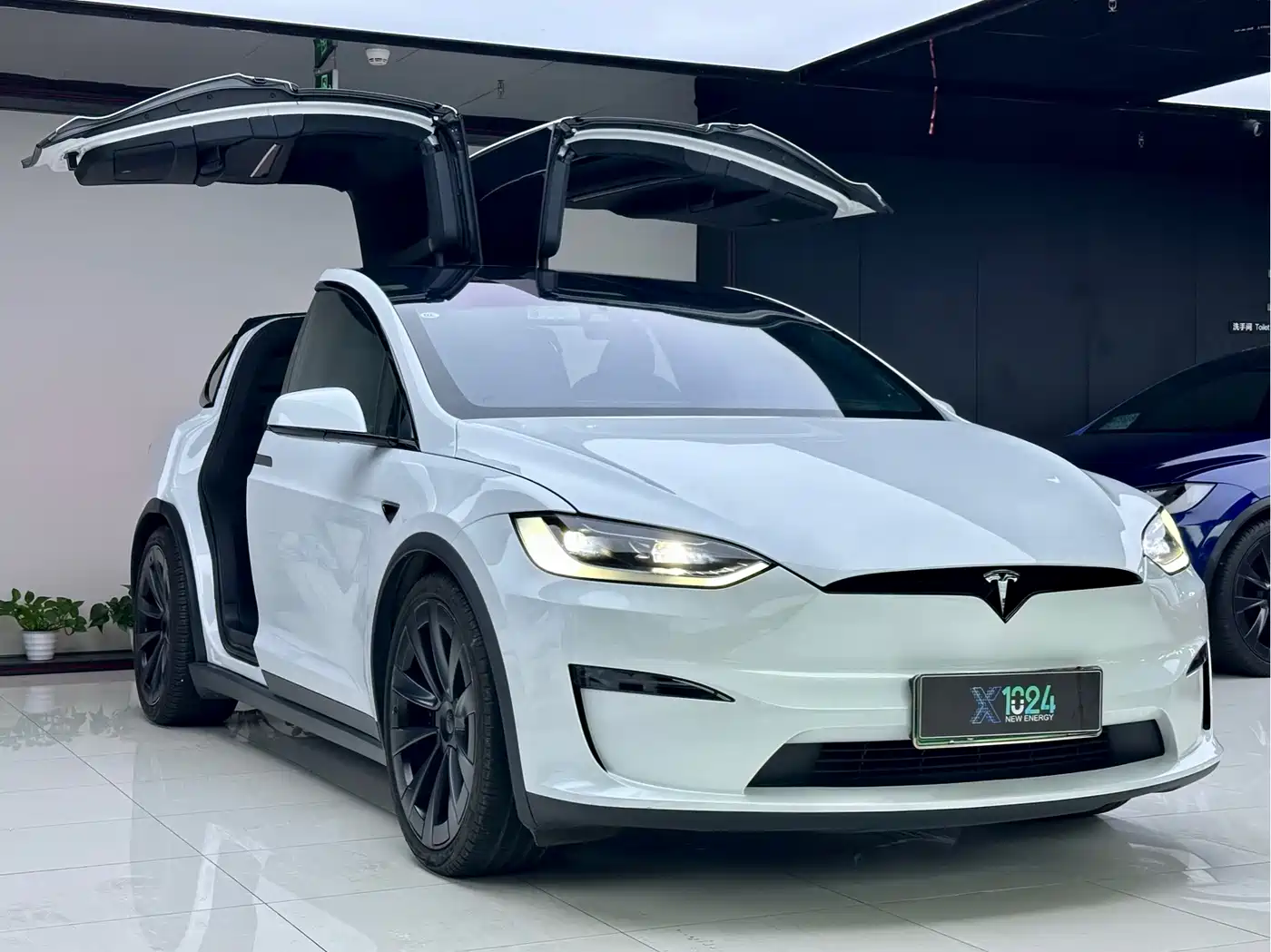 Tesla Model X 2023 2023 Dual Motor All-Wheel Drive Edition