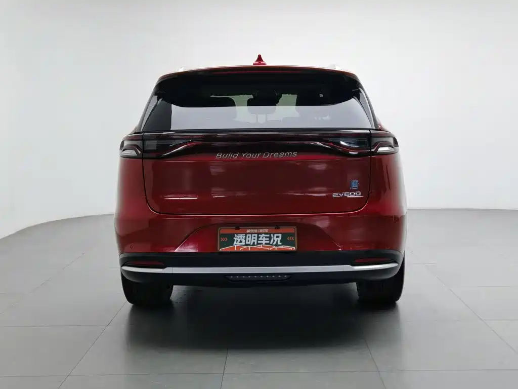 Фото 4 - BYD Tang New Energy