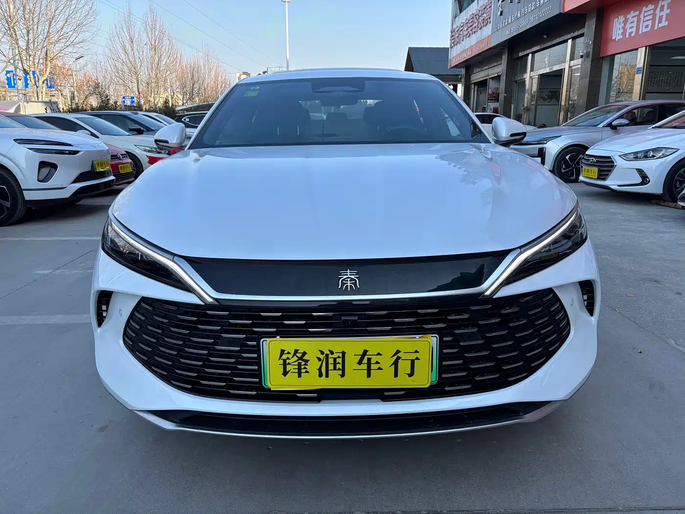 BYD Qin L 2024 DM-i 120KM Superior Edition фото 2