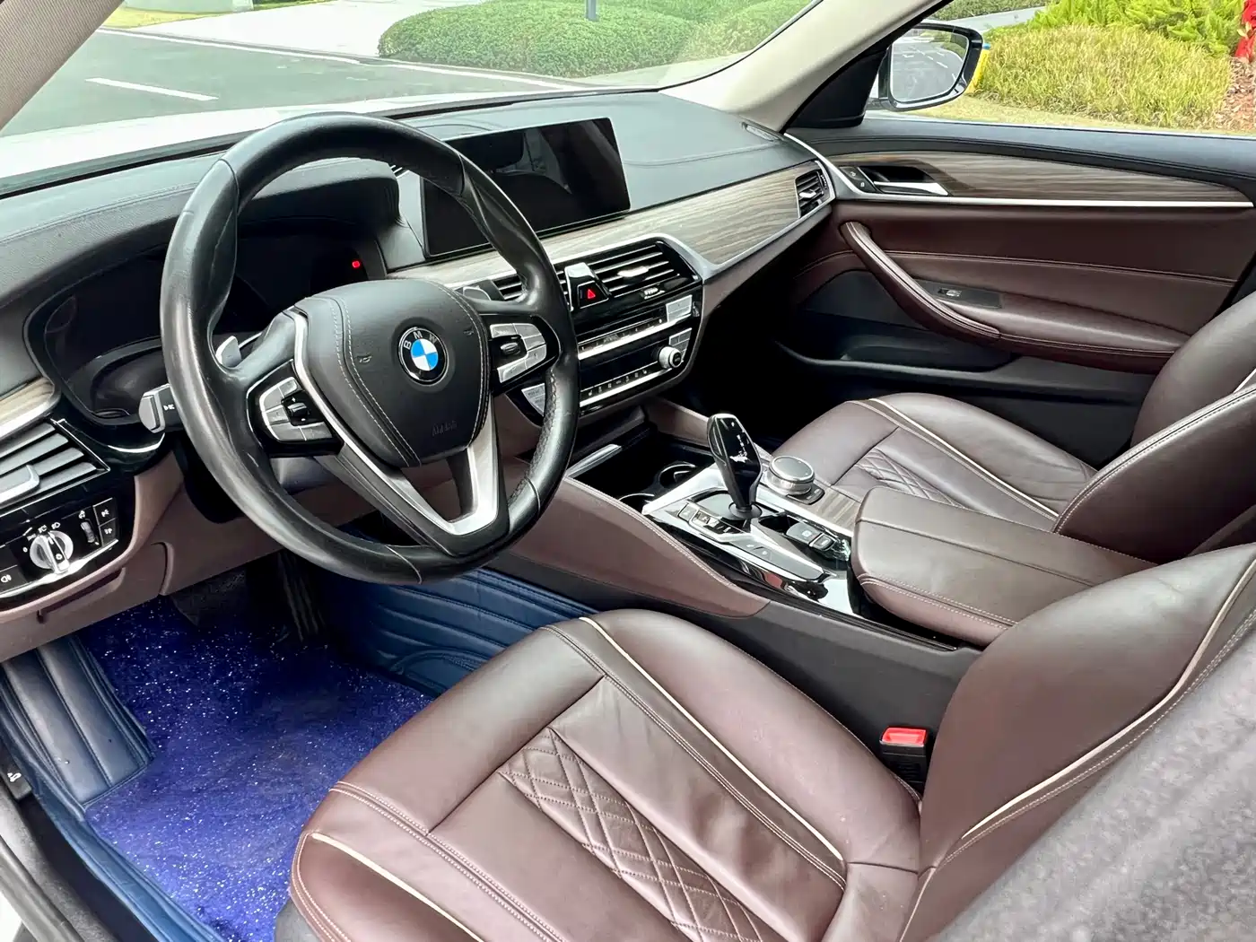 BMW 5 Series 2019 530Li Leading Luxury Package фото 8
