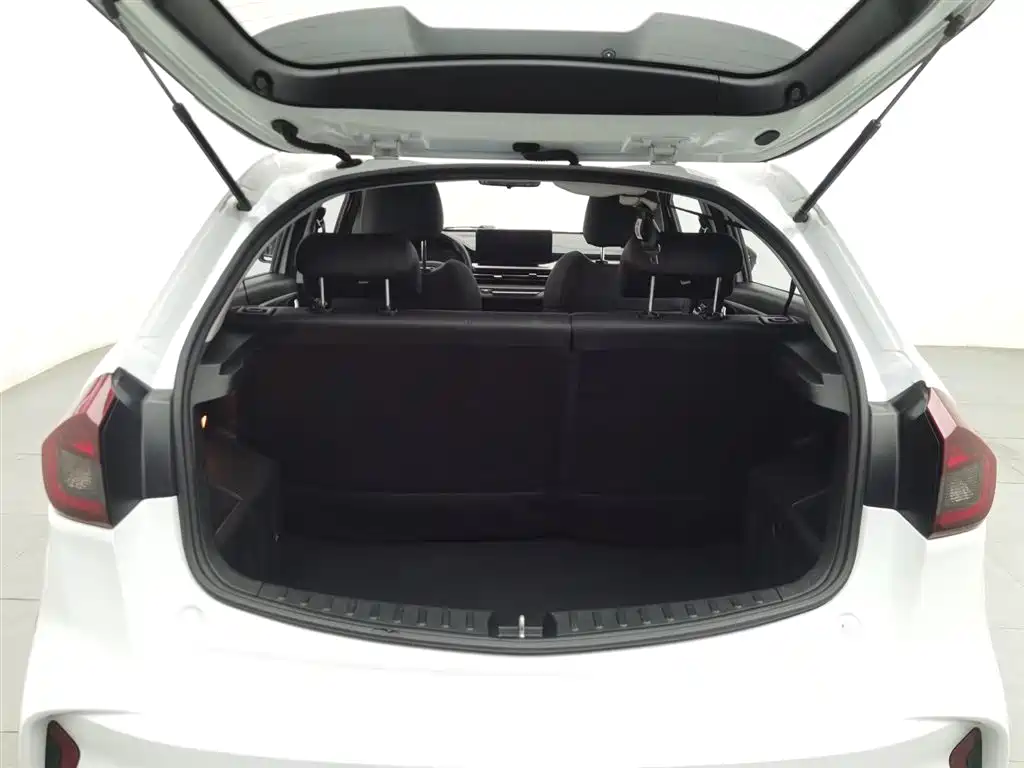 GEELY AUTOMOBILE VISION X3