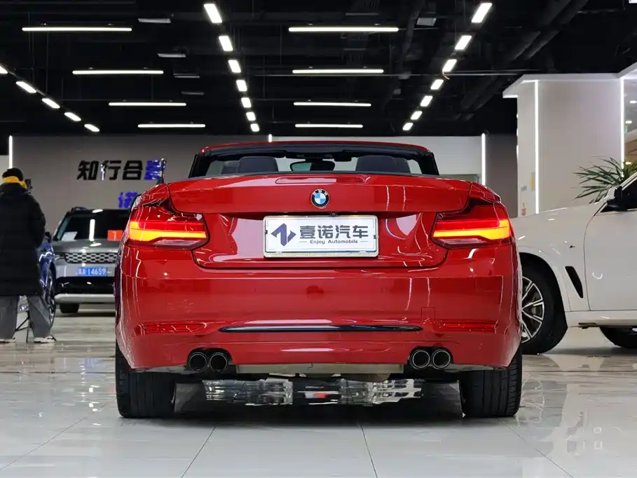 BMW 2 Series (Import) 2019 225i Convertible Coupe Sport Design Package фото 6