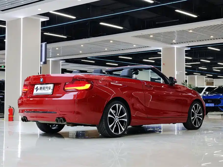 BMW 2 Series (Import) 2019 225i Convertible Coupe Sport Design Package фото 12