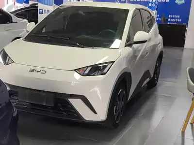 BYD Seagull