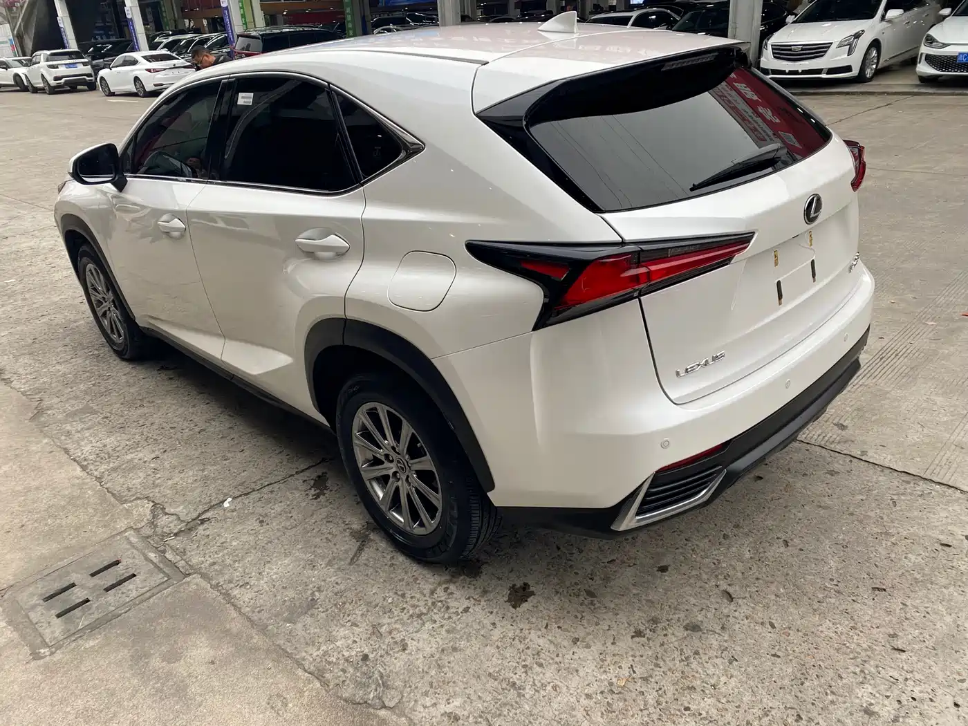 LEXUS NX