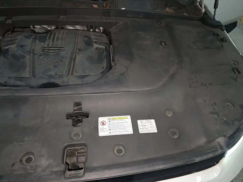 Фото 22 - Geely ICON