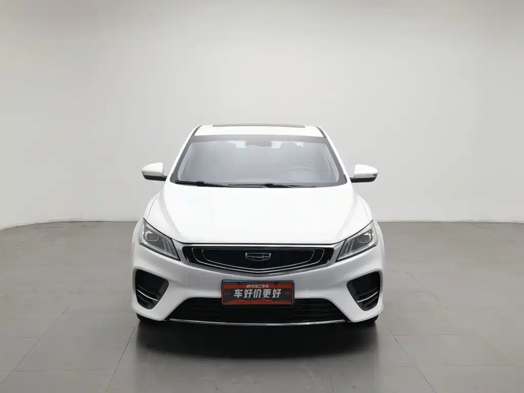 Фото 3 - Geely Binrui