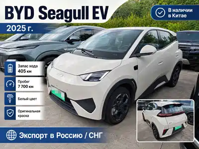 BYD Seagull