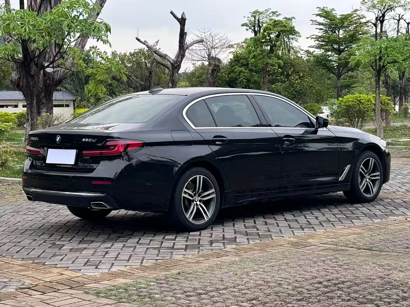 BMW 5 Series 2021 Facelift 530Li Leading Luxury Package фото 8