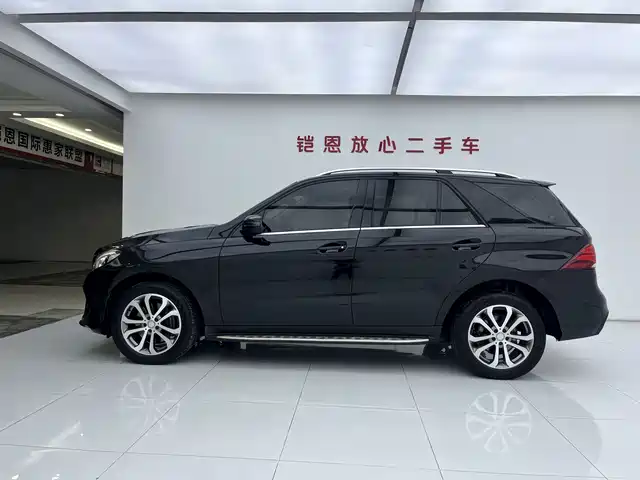 Mercedes-Benz GLE 2017 GLE 320 4MATIC Luxury — фото 3