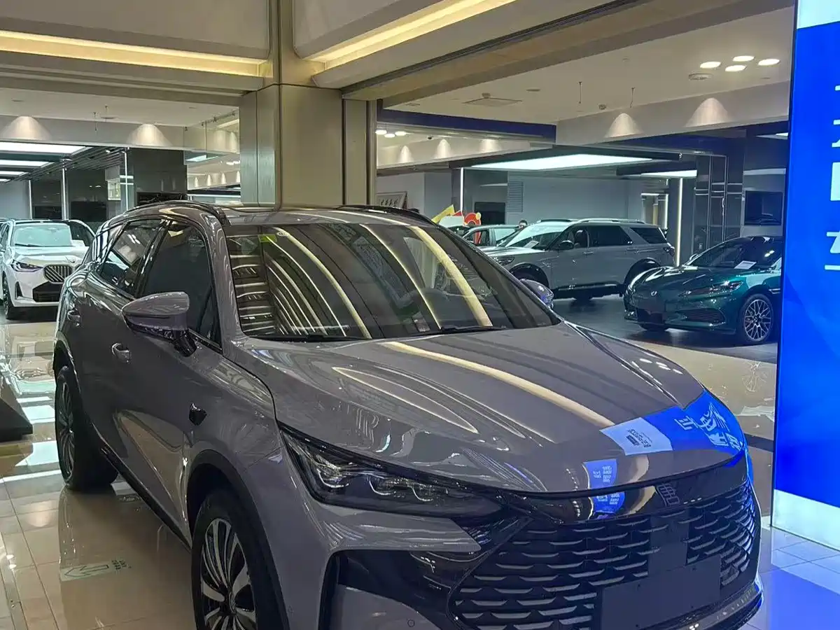 BYD Tang New Energy 2026 DM-i 115KM Premium