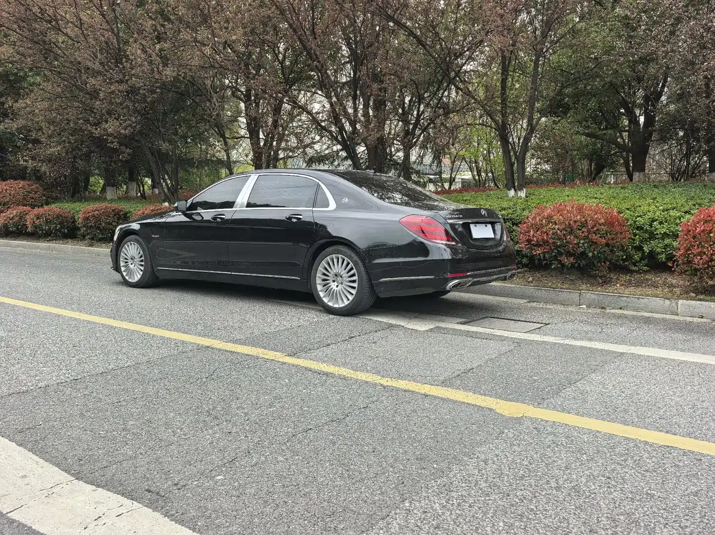Mercedes-Benz Maybach S-Class 2019 S 450 4MATIC фото 5
