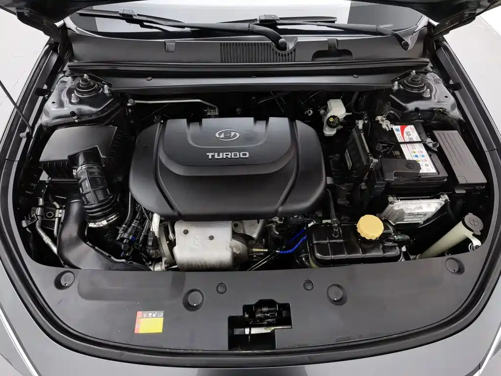Baojun Valli 2021 2021 1.5T Dali Sky CVT Premium