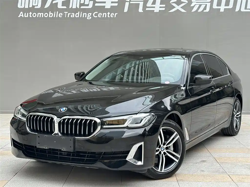 BMW 5 Series 2021 530Li Leading Luxury Package фото 20