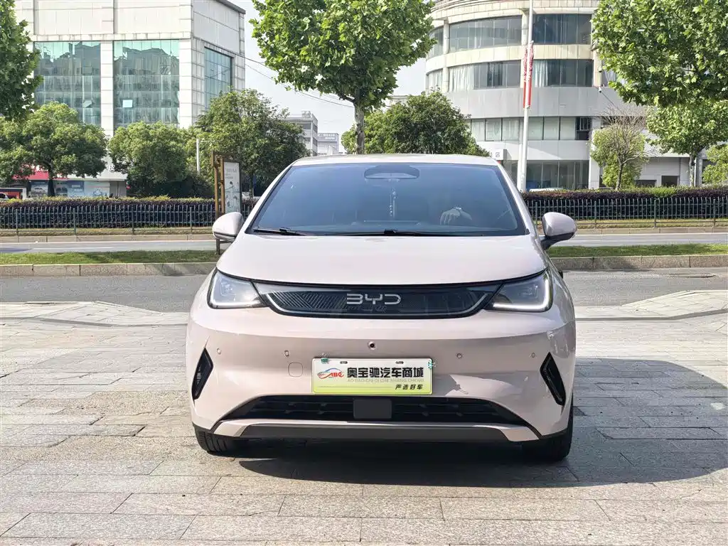 BYD Dolphin 2025 Smart Drive Edition 420km Freedom Version фото 2