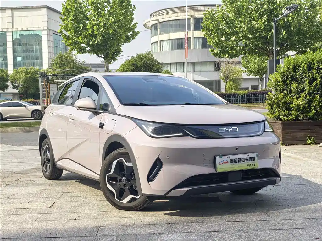 BYD Dolphin 2025 Smart Drive Edition 420km Freedom Version фото 3