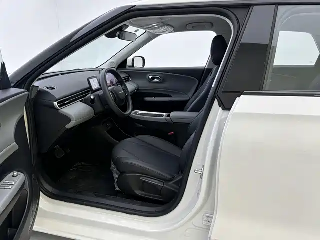 Dongfeng Yipai Nano 01 2026 2026 True Love Edition 330 Pro
