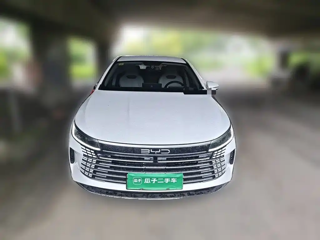 Фото 24 - BYD Qin PLUS