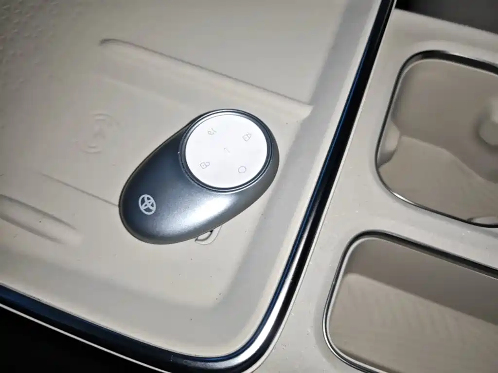 Фото 9 - Toyota BoZhi 3X