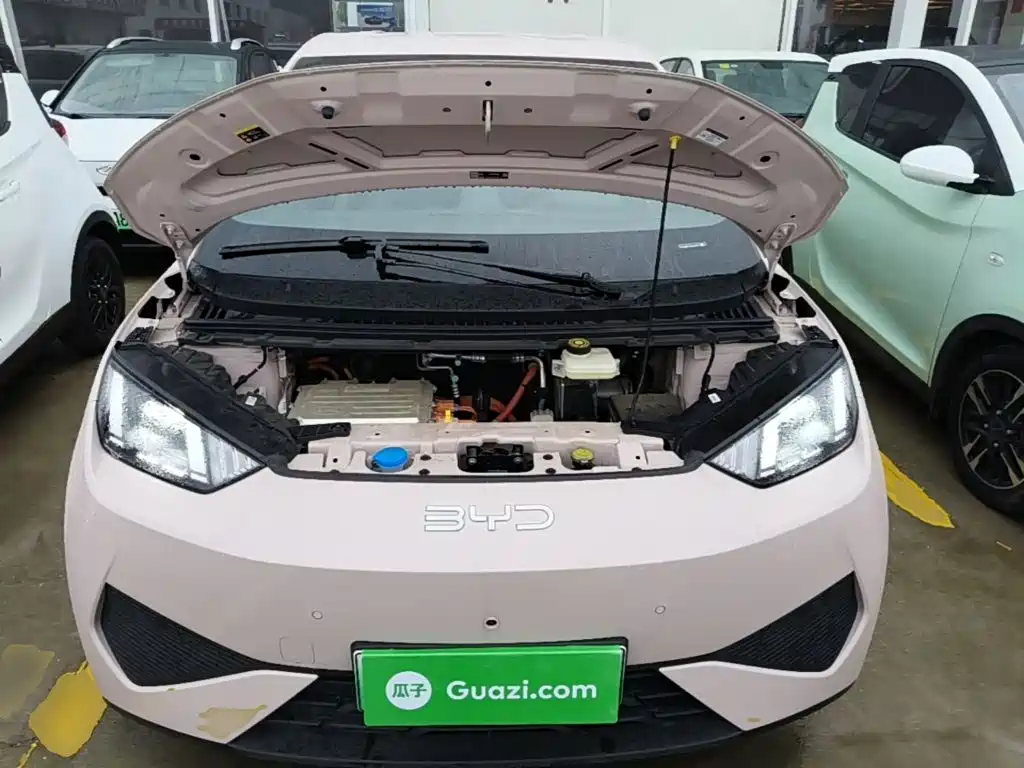BYD Seagull 2026 2025 Smart Drive Edition 305km Freedom Version